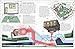 DK The Way Things Work From Levers to Lasers, Windmills to Wi-Fi, A Visual Guide to the World of Machines (DK David Macauley How Things Work).