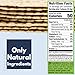 Snacktery Garlic Multigrain Flatbread Crackers - All Natural Multigrain Crackers in 8 Stay-Fresh Packs - Thin & Crispy Garlic Crackers for Cheese, Spreads, Dips - 7 oz