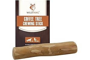 Wildfang Chewing Root