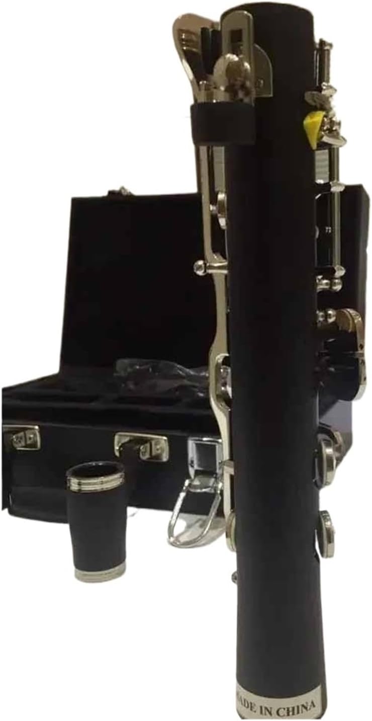 Clarinet For Beginners To Professional Musicians