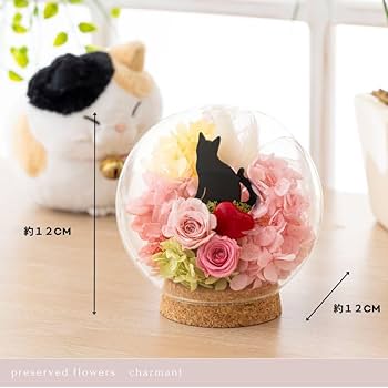 Amazon｜プリザーブドフラワー Ruplan（ルプラン）ガラスドーム 黒猫