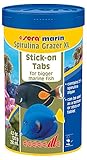 Sera 45017 Marine Spirulina Grazer, One Size