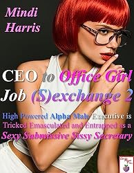 CEO to Office Girl Job (S)exchange High Powered Alpha Male ...