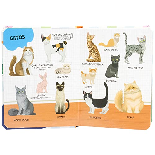 Kit Minhas Primeiras 100 Palavras: Animais e Fazenda