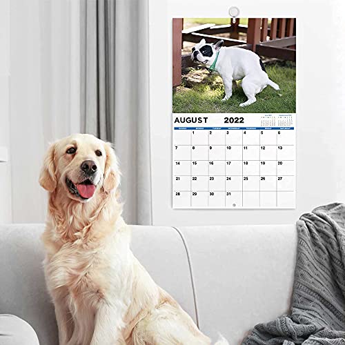 Gag Gifts Funny Gifts, White Elephant Gag Gift Exchange, Large 17" x