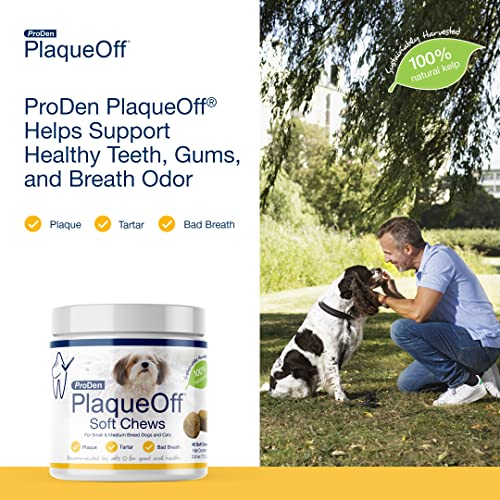 ProDen PlaqueOff Soft Chews with Natural Kelp - for Small & Medium Breed Dogs & Cats - Supports Normal, Healthy Teeth, Gums, and Breath Odor in Dogs & Cats - 45 Soft Chews