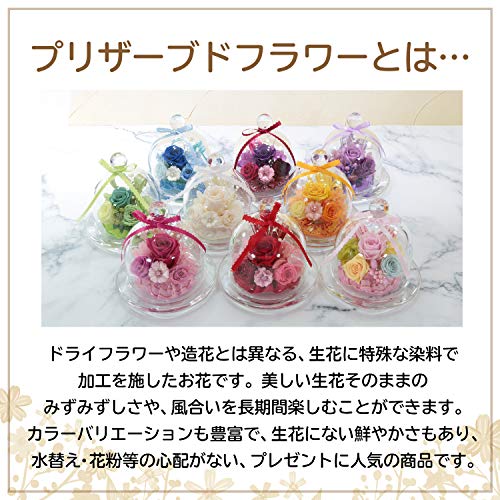 【Amazon.co.jp 限定】【NICHIFLRO】ニチフロ プリザーブドフラワー 日本製 プレゼント お祝い 長持ち 枯れない花 母の日 敬老の日 ニチフロガラスドームミニ【 ピンク 】 [4]