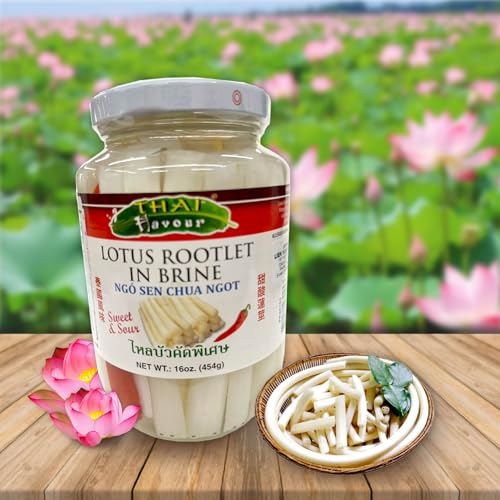 Thai Flavour Sweet & Sour Lotus Rootlet in Brine, 16 oz (454g), Traditional Asian Ingredient