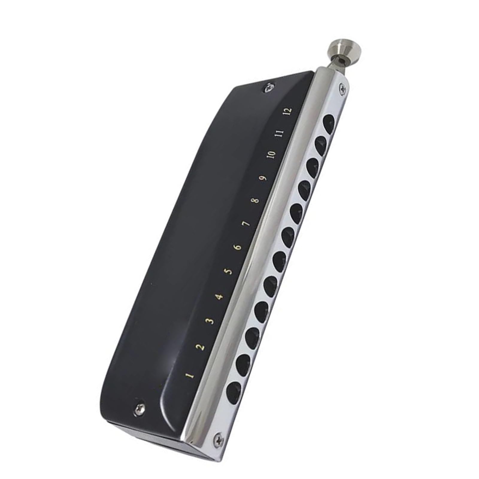 Harmonica Blues Harmonica Chromatique 12 Trous Professionnel