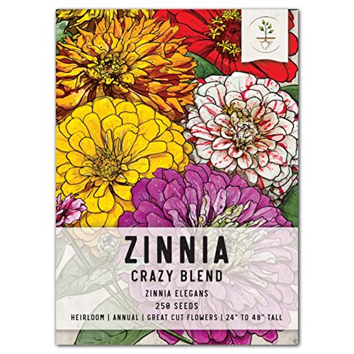 Seed Needs Crazy Blend Zinnia Heirloom Seeds #TOP6