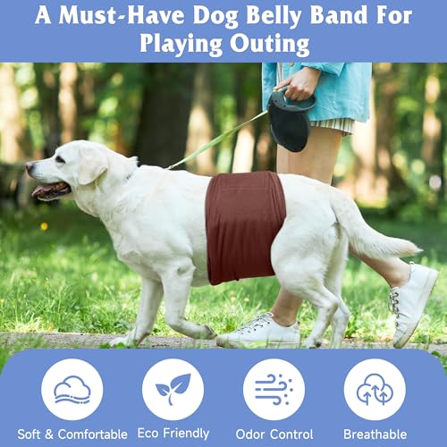 Image of Reusable Dog Diapers Male 3Pcs, Premium Washable Belly Bands for Male Dogs XSmall, High Absorbing Male Dog Wraps for Doggie & Puppy in Incontinence, Excitable Urination and Training XS
