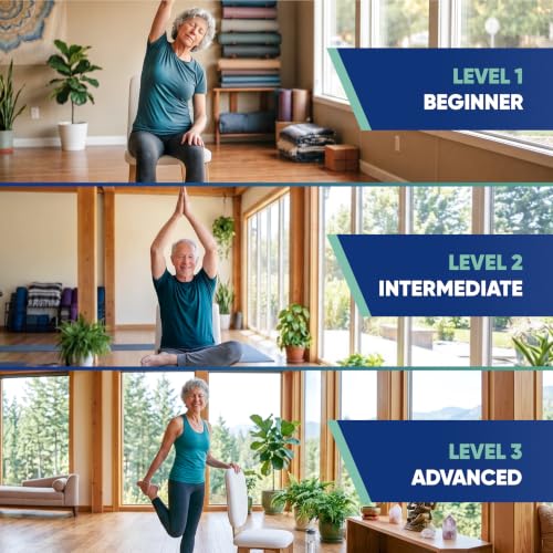 28 day chair yoga for seniors reviews