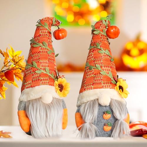 PORFOYO Gnomi Autunnali Decorazioni Autunnali Casa: 2 Pezzi Decorazione per L'autunno Nani, Autunno Decorazioni Di Peluche Gnome Del Ringraziamento Decorazione Domestica Di Festa Di Natale
