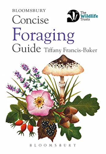 Image of Concise Foraging Guide (Concise Guides)