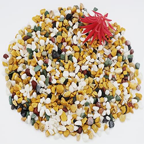 Szgulaike Gravel For Aquarium, Aquarium Rocks Natural Decorative Mixed Color Pebbles Fish Tank Gravel Small Garden Rocks Soil Cover, Mixed Color Stones,Vase Fillers (Colorful) (2.2Lbs) #TOP3