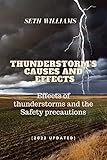 Thunderstorm's Causes and Effects: Effects of thunderstorms and the Safety precautions (2022 updated)