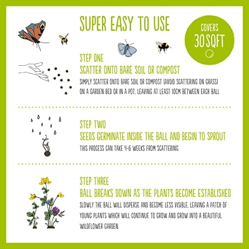 SEEDBALL Hedgehog Mix Seed Bombs (Wild Flower Tin)  20 Seed Balls Per Pack | British Wildflower Seeds - Clay Protected Seed Bomb Creates a Hedgehog Friendly Garden for Shelter & Food