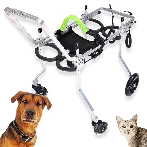 Fauteuil roulant pour chat et chien pour retrouver le plaisir des promenades au parc en famille