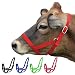 Derby Nylon Cattle Halters Barn and Turnout in Calf, Cow, Heifer, Steer, Newborn Sizes