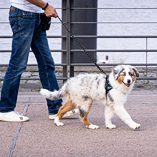 Panykoo 4/5/6 FT Strong Pet Dog Leash with Soft Padded Handle,Highly Reflective Rope for Night Walking,360-Degree Rotating Metal Buckle Without Tangles,Suitable for Small,Medium and Large Dogs.(5ft)