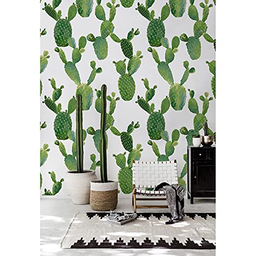 Fotomurale cactus natural para tapar imperfecciones de pared grandes 2