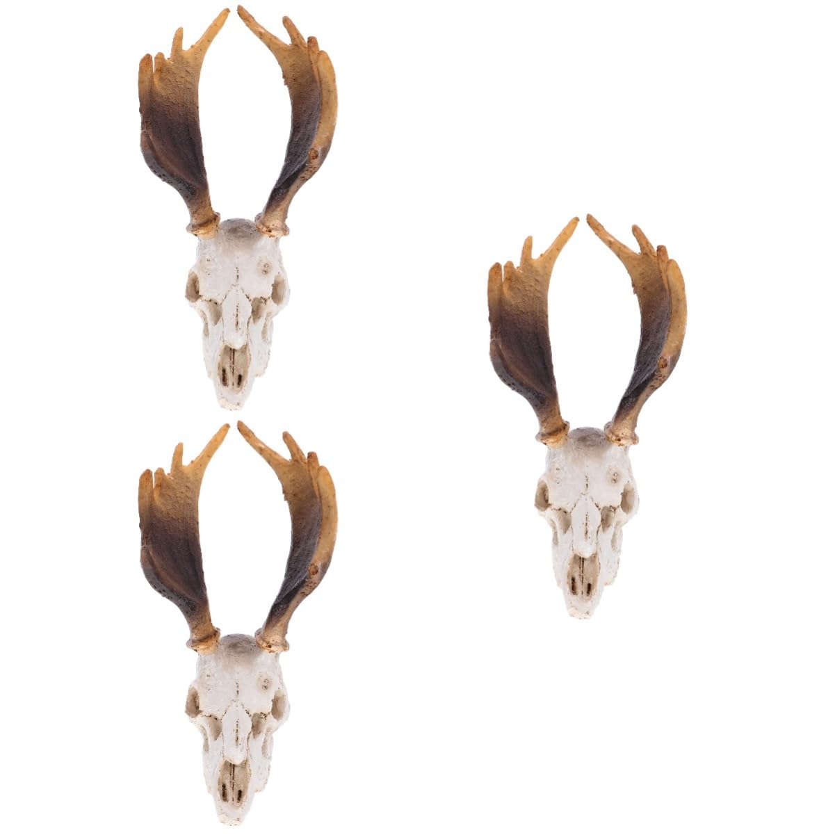 BESPORTBLE 3pezzi Decorazione Per Terrario Skulll Per Rettili Nascondiglio Lifelike Per Habitat Rettili e Accessorio Per Tartarughe e Gechi
