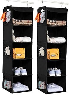 BrilliantJo Hanging Storage with 5 Shelves Set of 2 Wardrobe Closet Organiser, Storage Shelves Unit with 6 Pockets for Clothes - Black(12 x 12 x 43 inch)