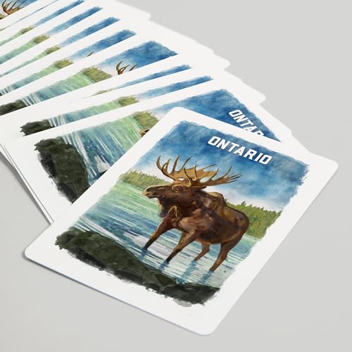 Lantern Press Baraja de Póker Acuarela Ontario Alce 52 cartas miniatura 5