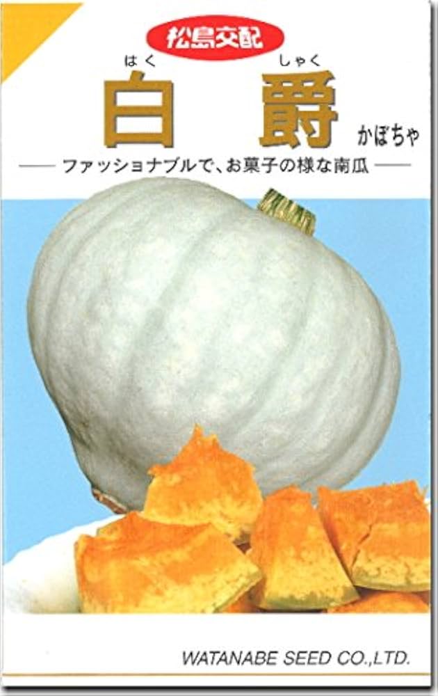 Amazon.co.jp: カボチャ 南瓜 種子 白爵 かぼちゃ (100粒) : DIY・工具