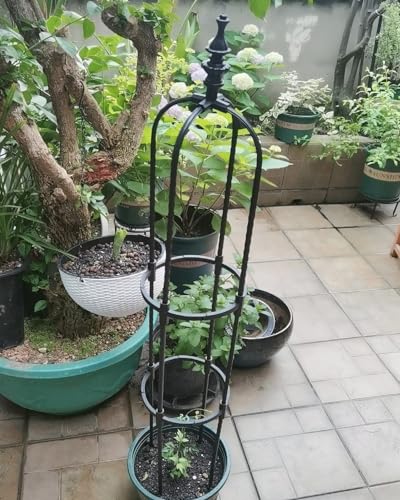 Wysoka metalowa kratka ogrodowa do roślin pnących, odporna na rdzę wieża podtrzymująca winorośl i kwiaty, dekoracja patio na zewnątrz, idealna do ogrodnictwa pionowego