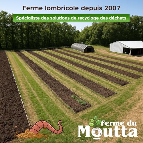 Moutta | 250 gr de Vers de Compost (≃ 500 pcs) | Vers de terre vivants Eisenia, compostez vos déchets organiques - Pour lombricomposteur/composteur/jardin – vue 7
