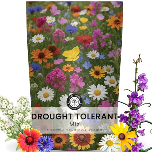 Drought Tolerant Mix – 90,000 Seeds for Planting – 2026