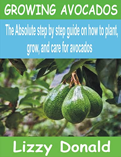 GROWING AVOCADOS: The Absolute step by step guide on how to Plant, grow ...