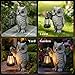 KARTOOSH Solar Garden Statue Owl, Outdoor Decor Resin Owl Light Statues for Yard, Patio, Lawn, Porch, Balcony Ornament, Garden Gift for Women Mom Grandma