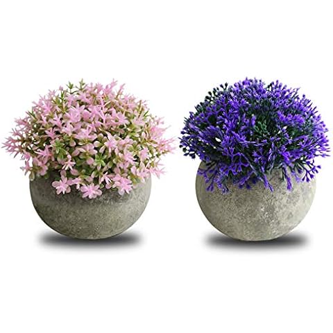 THE BLOOM TIMES 2 PCS Small Fake Plants for Home Office Bathroom Decor, Mini Artificial Greenery for House Decorations (Potted Plants) Cover