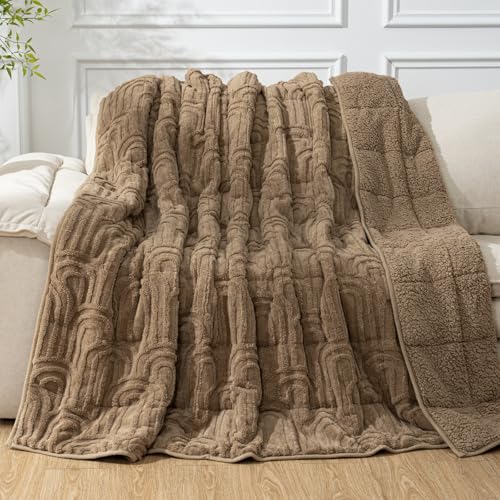 Image of Cottonblue Jacquard Weighted Blanket for Adults 15 lbs Twin Size, Cozy Fluffy Sherpa Fleece Weighted Throw Blankets 60 inch x 80 inch for Sleep Relax, Fuzzy Warm Arch Heavy Blanket Soft for Bed Couch, Khaki