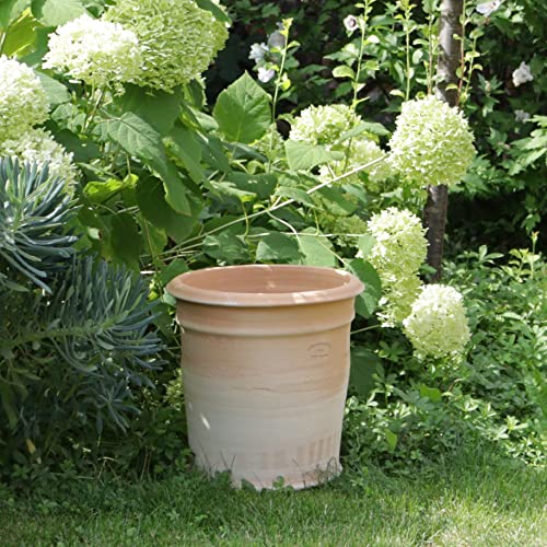 Pflanzkübel Terracotta Winterhart Die 15 besten Produkte im Vergleich
