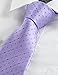 KissTies Mens Lavender Necktie Iris Purple Festive Tie + Gift Box