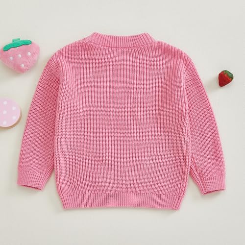Kids Toddler Girls Pullover Sweater Big Sis Strawberry Embroidery Long Sleeve Knit Tops Fall Winter Clothes4