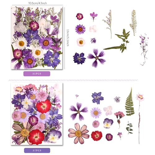 Image of 100 PCS Purple Pressed Dried Flowers and Leaves with Tweezers | Natural Dried Flowers, For Resin, Candle, Jewelry, Scrapbooking & DIY Crafts