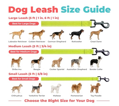 Image of Best Pet Supplies Voyager Reflective Dog Leash or Collar with Neoprene Handle, for Small, Medium, and Large Breed Puppies, Cute and Heavy Duty for Walking, Running and Training - Lime Green (Leash), L
