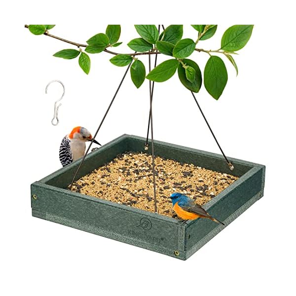 Kingsyard Platform Bird Feeder, Recycled Plastic Tray Bird Feeders with Large Capacity 3.5 lbs, Premium Quality & Durable, Great for Attracting Wild Birds, Green Kingsyard Platform Bird Feeder, Recycled Plastic Tray Bird Feeders with Large Capacity 3.5 lbs, Premium Quality & Durable, Great for Attracting Wild Birds, Green