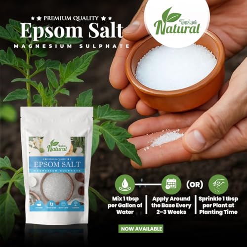 Image of inchOrganic Epsom Salt Crystals for Bath 1kg, For Muscle Relief, Feet Soak, Relieves Aches & Pain, Gardening Plants 1Kg inch