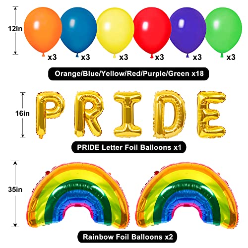 Amandir Pride Decorations Gay Pride Month Rainbow Flags, Stickers, Love Is Love Rainbow Heart Banner, Pride Foil Balloons, Paper Flowers, Cake Topper For Lgbt Pride Month Rainbow Theme Party Supplies #TOP2