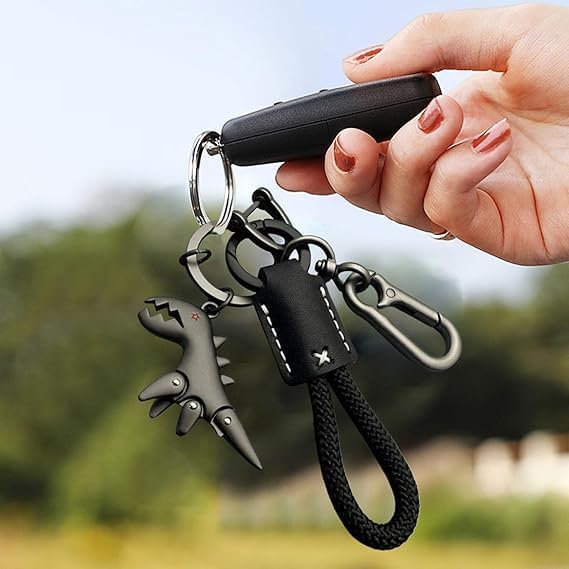 Image of Metal Keychain with Carabiner Clip | Portable Key Ring Holder | Heavy Duty Key chain Charm | Everyday Carry Key Accessory for Men Women | Gift for Car & Bike Keys