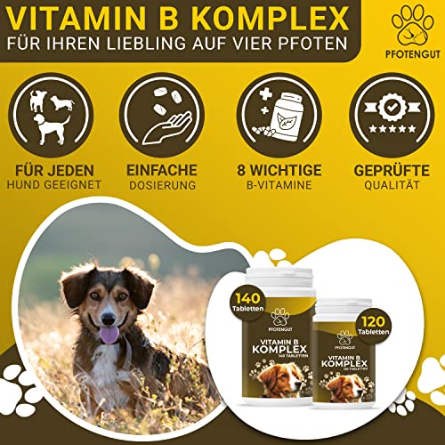 PFOTENGUT® Vitamin B Komplex Hund [Made in Germany] - 140 Tabletten für 5 Monate - Hochdosierte B Vitamine für Hunde & Katzen mit B1, B2, B3, B5, B6, B7, B9 & B12 - Vitamin B für Hunde