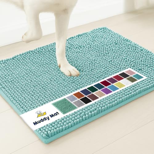 Image of Muddy Mat | Super Absorbent Door Mat Indoor, Microfiber Quick Dry Chenille Entryway Rug, Non-Slip Front Door Mat, Indoor Mats for Entryway, Machine Washable Pet Rug, Seafoam Green 16 inchx24 inch