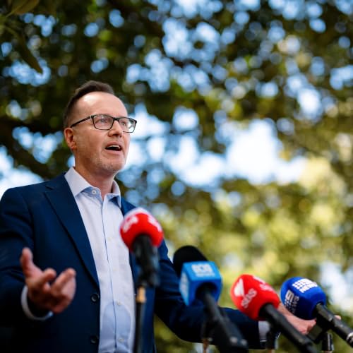 Greens&rsquo; David Shoebridge on his plan to beat One Nation and replace Labor