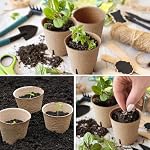 100-Pack 2 Inch Peat Pots for Seedling with Plant Labels, Biodegradable Seed Starter Pots, Plant Cups with Mini Seedling Tools for Garden Germination Nursery Pot