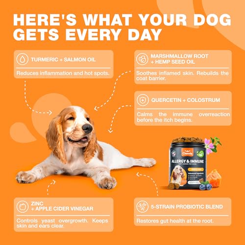 Image of Dog Allergy Relief Chews - Itch Relief for Dogs - 180 Allergy Chews for Itching Skin with Probiotics, Colostrum, Salmon Oil - Allergy, Skin and Coat, Immune, Digestion Support Supplement - Hot Spots